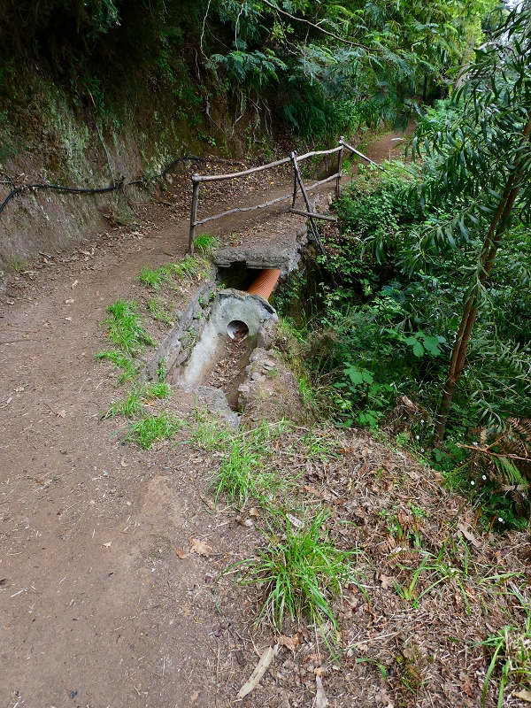 Levada da Serra do Faial von Lamaceiros/Lombo da Raiz zum Pico do Infante — Abschnitt 4 — Foto 6