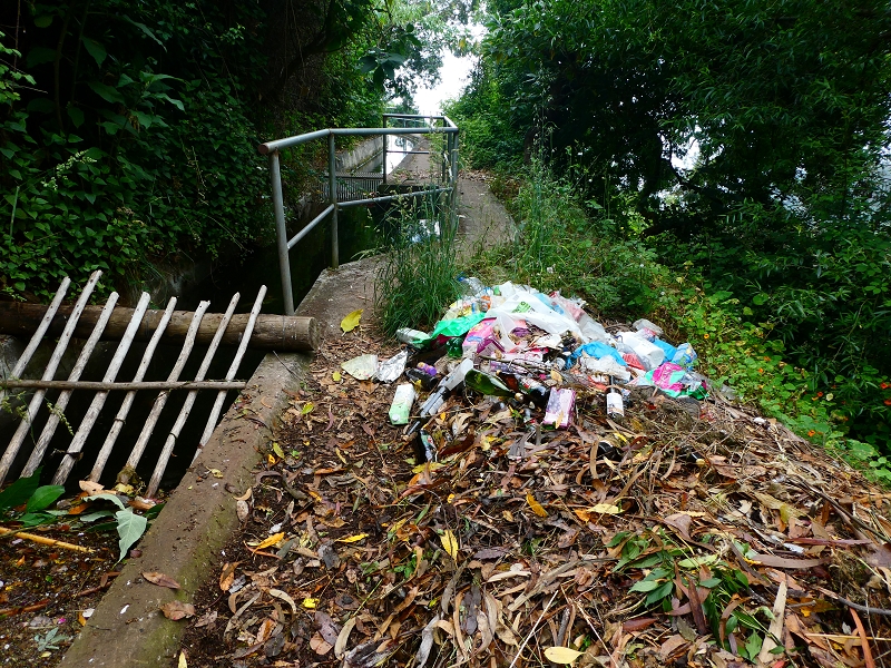 01.07.2018 Rundtour Levada dos Tornos - Levada da Serra do Faial zwischen Camacha und Choupana — Weiter zum Pinheirinho-Tunnel — Foto 6