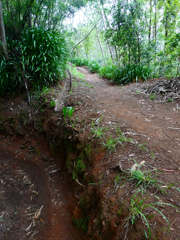Levada da Serra do Faial von Lamaceiros/Lombo da Raiz zum Pico do Infante — Abschnitt 4 — Foto 7