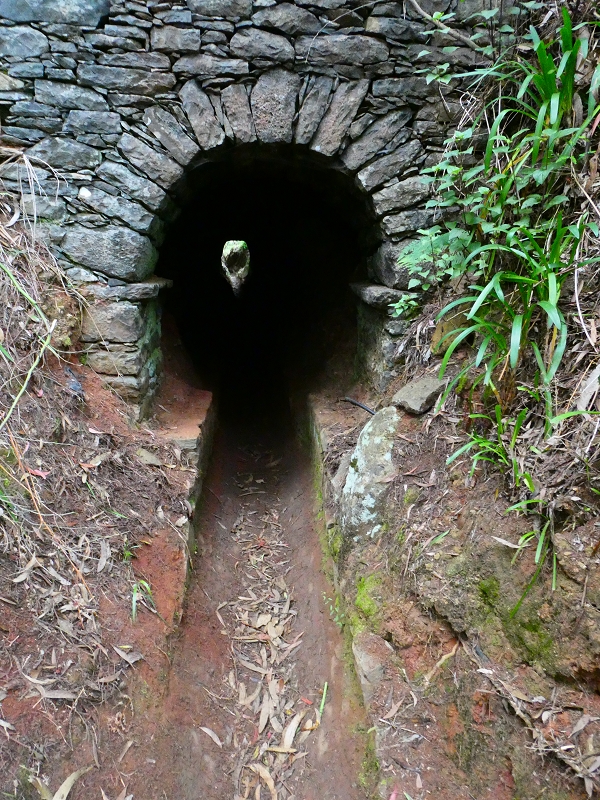 Levada da Serra do Faial von Lamaceiros/Lombo da Raiz zum Pico do Infante — Abschnitt 4 — Foto 1