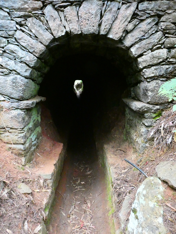 01.07.2018 Rundtour Levada dos Tornos - Levada da Serra do Faial zwischen Camacha und Choupana — Kreuzung mit der Levada do Blandy, Abschnitte der Levada do Blandy — Foto 2