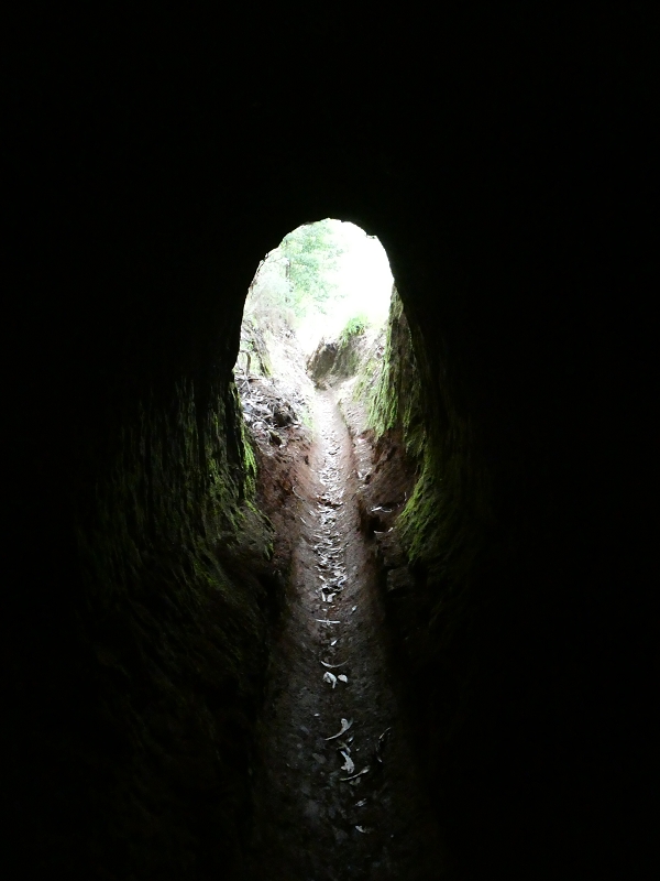 Levada da Serra do Faial von Lamaceiros/Lombo da Raiz zum Pico do Infante — Abschnitt 4 — Foto 2