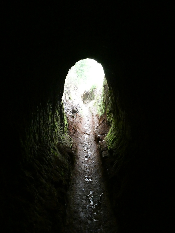 Levada da Serra do Faial von Lamaceiros/Lombo da Raiz zum Pico do Infante — Abschnitt 4 — Foto 3