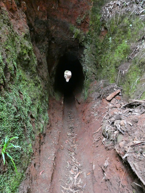 Levada da Serra do Faial von Lamaceiros/Lombo da Raiz zum Pico do Infante — Abschnitt 4 — Foto 4