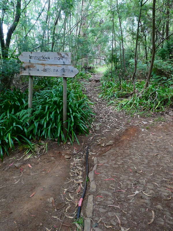 Levada da Serra do Faial von Lamaceiros/Lombo da Raiz zum Pico do Infante — Abschnitt 4 — Foto 5