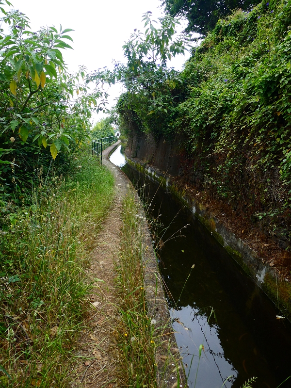 01.07.2018 Rundtour Levada dos Tornos - Levada da Serra do Faial zwischen Camacha und Choupana — Weiter zum Pinheirinho-Tunnel — Foto 7