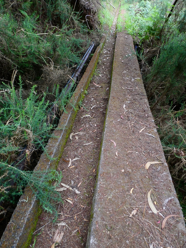 01.07.2018 Rundtour Levada dos Tornos - Levada da Serra do Faial zwischen Camacha und Choupana — Kreuzung mit der Levada do Blandy, Abschnitte der Levada do Blandy — Foto 11