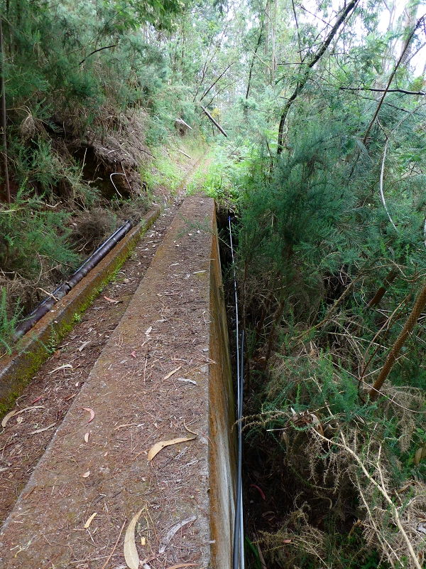 01.07.2018 Rundtour Levada dos Tornos - Levada da Serra do Faial zwischen Camacha und Choupana — Kreuzung mit der Levada do Blandy, Abschnitte der Levada do Blandy — Foto 12