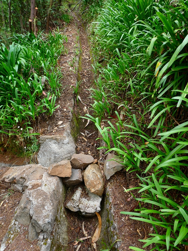 01.07.2018 Rundtour Levada dos Tornos - Levada da Serra do Faial zwischen Camacha und Choupana — Kreuzung mit der Levada do Blandy, Abschnitte der Levada do Blandy — Foto 14