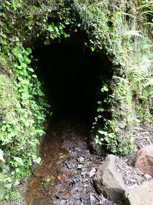 Levada da Serra do Faial von Lamaceiros/Lombo da Raiz zum Pico do Infante — Abschnitt 4 — Foto 1