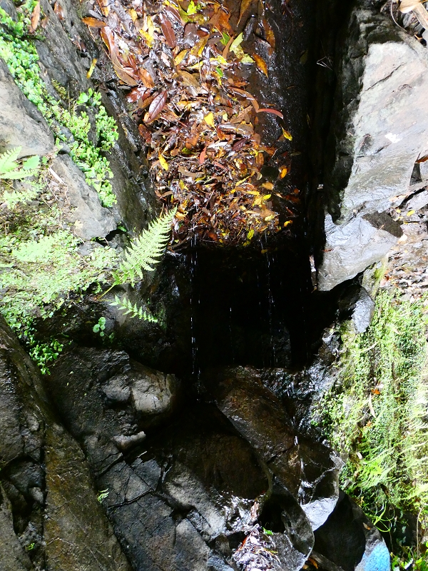 Levada da Serra do Faial von Lamaceiros/Lombo da Raiz zum Pico do Infante — Abschnitt 4 — Foto 2