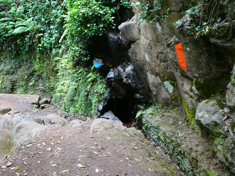 Levada da Serra do Faial von Lamaceiros/Lombo da Raiz zum Pico do Infante — Abschnitt 4 — Foto 3