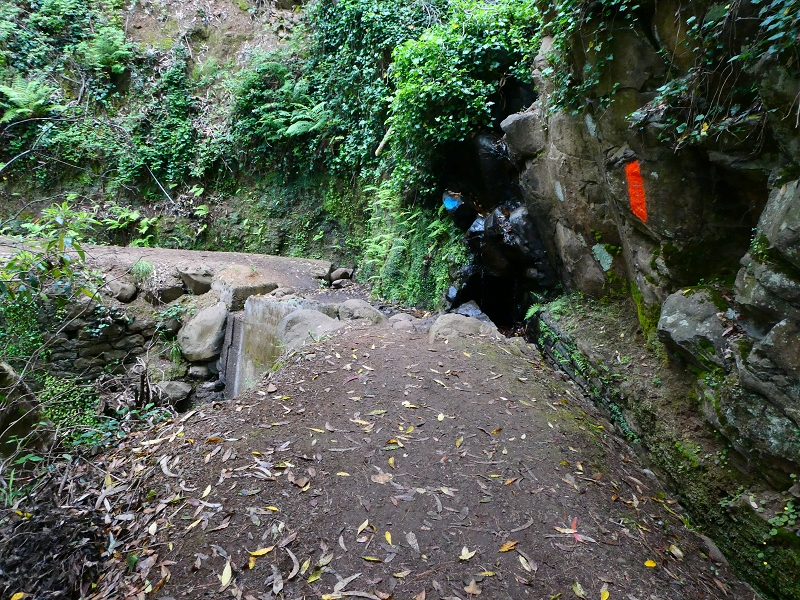 Levada da Serra do Faial von Lamaceiros/Lombo da Raiz zum Pico do Infante — Abschnitt 4 — Foto 4