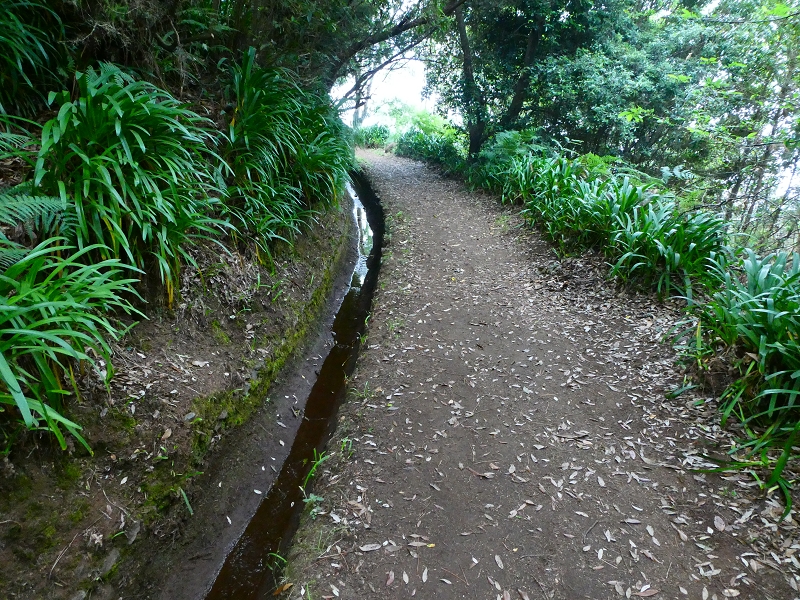 Levada da Serra do Faial von Lamaceiros/Lombo da Raiz zum Pico do Infante — Abschnitt 4 — Foto 5
