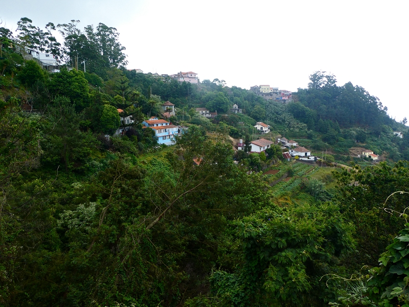 01.07.2018 Rundtour Levada dos Tornos - Levada da Serra do Faial zwischen Camacha und Choupana — Weiter zum Pinheirinho-Tunnel — Foto 8