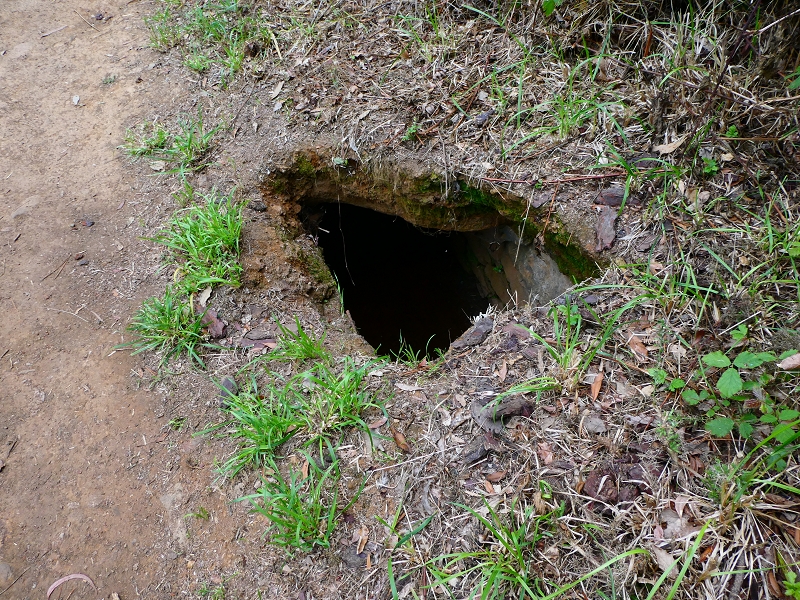 Levada da Serra do Faial von Lamaceiros/Lombo da Raiz zum Pico do Infante — Abschnitt 4 — Foto 6