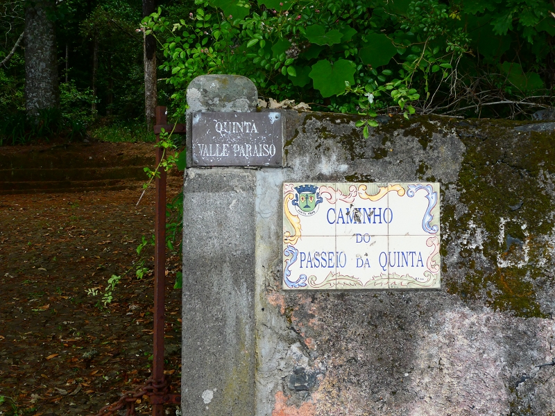 Levada da Serra do Faial von Lamaceiros/Lombo da Raiz zum Pico do Infante — Abschnitt 3 — Foto 21