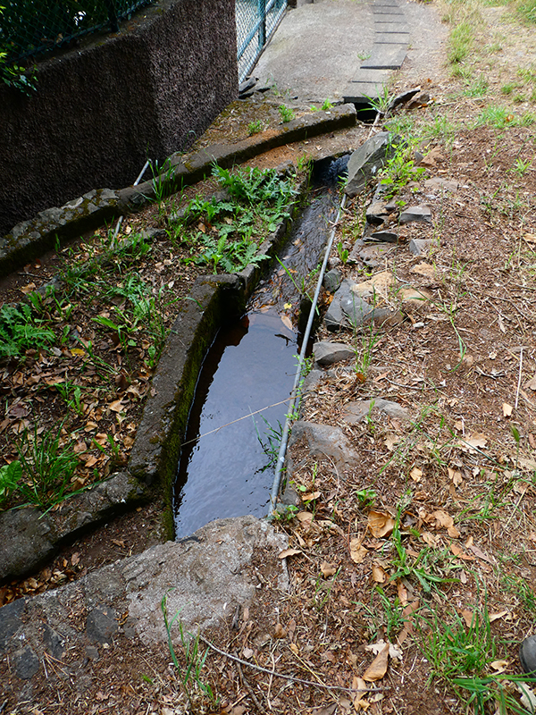 Levada da Serra do Faial von Lamaceiros/Lombo da Raiz zum Pico do Infante — Abschnitt 3 — Foto 22