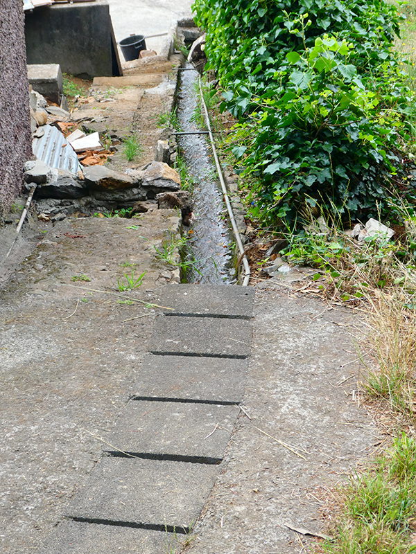 Levada da Serra do Faial von Lamaceiros/Lombo da Raiz zum Pico do Infante — Abschnitt 3 — Foto 23
