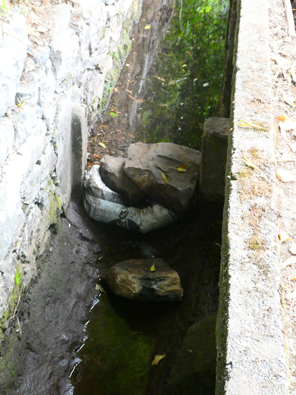 Levada da Serra do Faial von Lamaceiros/Lombo da Raiz zum Pico do Infante — Abschnitt 3 — Foto 24