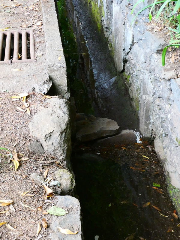 Levada da Serra do Faial von Lamaceiros/Lombo da Raiz zum Pico do Infante — Abschnitt 3 — Foto 1