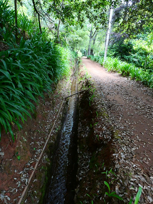 Levada da Serra do Faial von Lamaceiros/Lombo da Raiz zum Pico do Infante — Abschnitt 3 — Foto 3