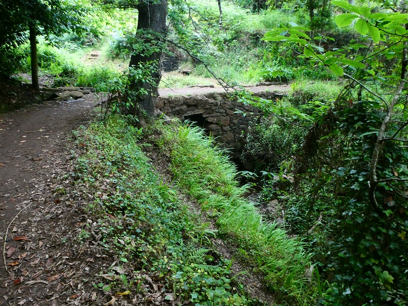 Levada da Serra do Faial von Lamaceiros/Lombo da Raiz zum Pico do Infante — Abschnitt 3 — Foto 4