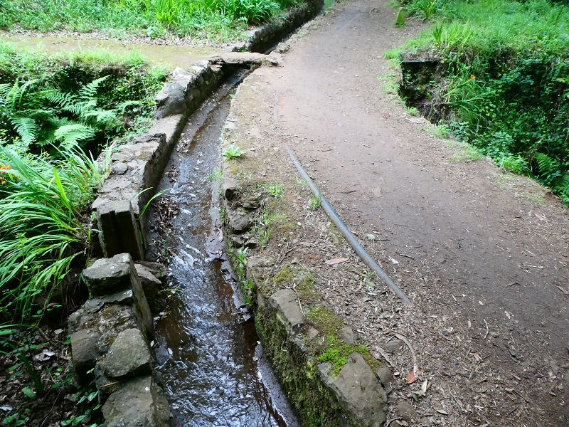 Levada da Serra do Faial von Lamaceiros/Lombo da Raiz zum Pico do Infante — Abschnitt 3 — Foto 5