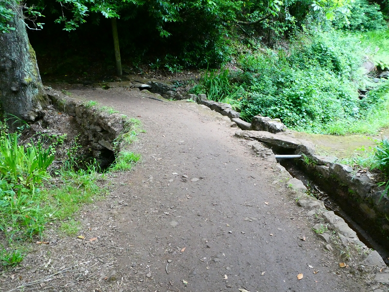 Levada da Serra do Faial von Lamaceiros/Lombo da Raiz zum Pico do Infante — Abschnitt 3 — Foto 6