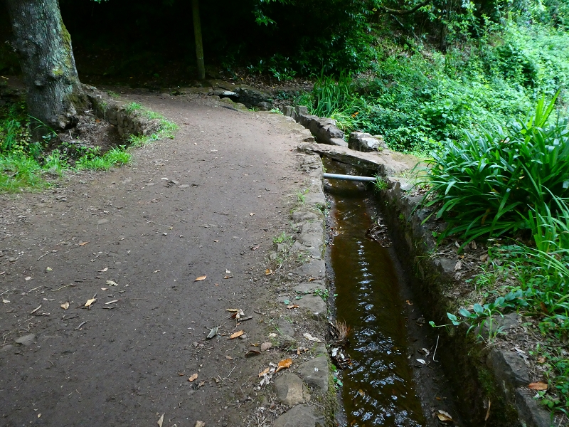 Levada da Serra do Faial von Lamaceiros/Lombo da Raiz zum Pico do Infante — Abschnitt 3 — Foto 7