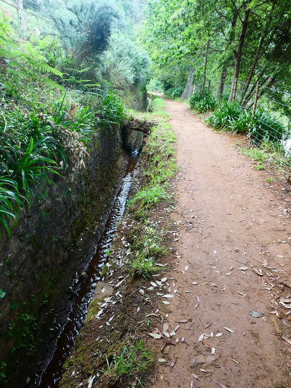 Levada da Serra do Faial von Lamaceiros/Lombo da Raiz zum Pico do Infante — Abschnitt 3 — Foto 9