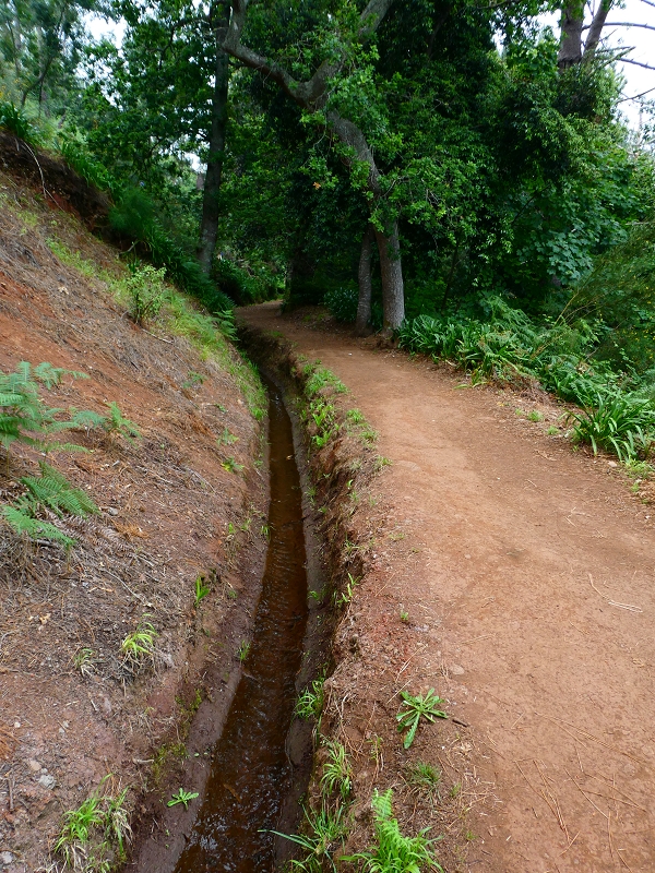 Levada da Serra do Faial von Lamaceiros/Lombo da Raiz zum Pico do Infante — Abschnitt 3 — Foto 11