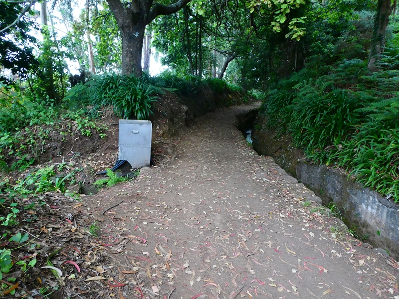 Levada da Serra do Faial von Lamaceiros/Lombo da Raiz zum Pico do Infante — Abschnitt 3 — Foto 12