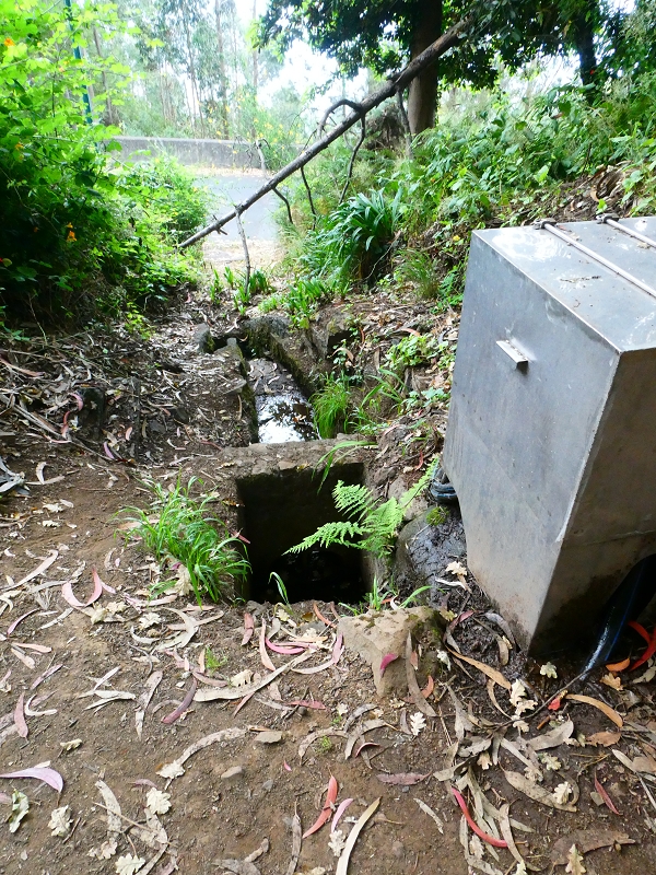 Levada da Serra do Faial von Lamaceiros/Lombo da Raiz zum Pico do Infante — Abschnitt 3 — Foto 13
