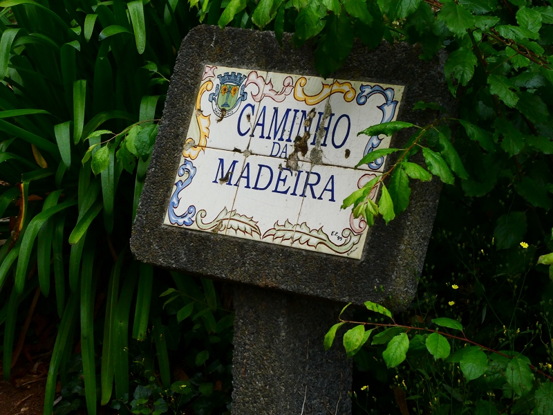 Levada da Serra do Faial von Lamaceiros/Lombo da Raiz zum Pico do Infante — Abschnitt 3 — Foto 14