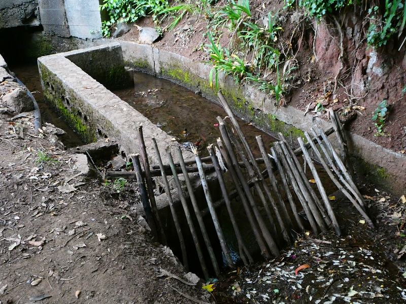 Levada da Serra do Faial von Lamaceiros/Lombo da Raiz zum Pico do Infante — Abschnitt 3 — Foto 16