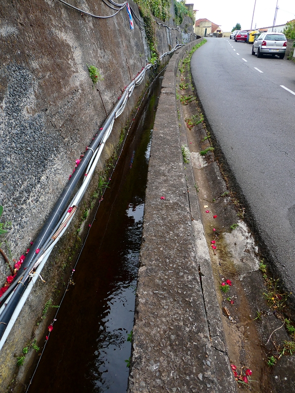 Levada da Serra do Faial von Lamaceiros/Lombo da Raiz zum Pico do Infante — Abschnitt 3 — Foto 19