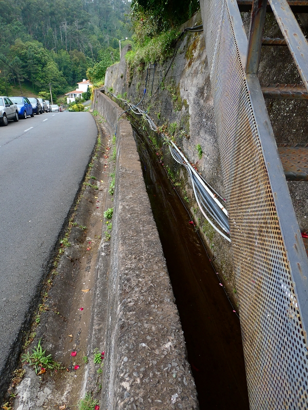 Levada da Serra do Faial von Lamaceiros/Lombo da Raiz zum Pico do Infante — Abschnitt 3 — Foto 20