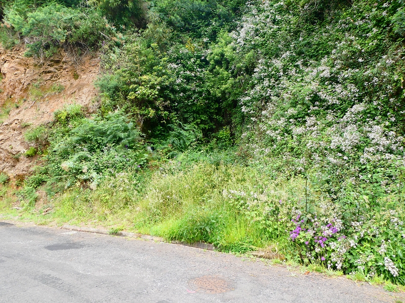 Levada da Serra do Faial von Lamaceiros/Lombo da Raiz zum Pico do Infante — Abschnitt 3 — Foto 2