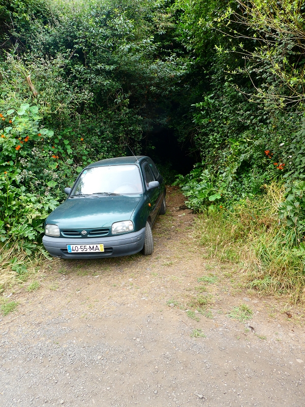Levada da Serra do Faial von Lamaceiros/Lombo da Raiz zum Pico do Infante — Abschnitt 3 — Foto 3