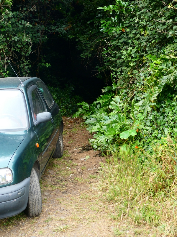 Levada da Serra do Faial von Lamaceiros/Lombo da Raiz zum Pico do Infante — Abschnitt 3 — Foto 4