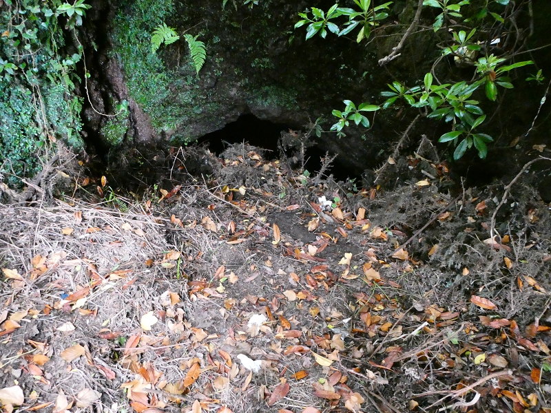 Levada da Serra do Faial von Lamaceiros/Lombo da Raiz zum Pico do Infante — Abschnitt 3 — Foto 5
