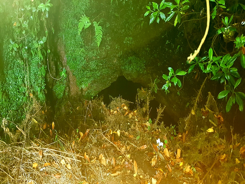 01.07.2018 Rundtour Levada dos Tornos - Levada da Serra do Faial zwischen Camacha und Choupana — Unzugänglicher Rochao-Tunnel der Levada da Serra do Faial — Foto 6