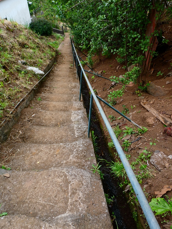 01.07.2018 Rundtour Levada dos Tornos - Levada da Serra do Faial zwischen Camacha und Choupana — Auf der Levada do Pico do Arvoredo Richtung Camacha — Foto 2