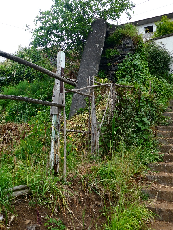 01.07.2018 Rundtour Levada dos Tornos - Levada da Serra do Faial zwischen Camacha und Choupana — Auf der Levada do Pico do Arvoredo Richtung Camacha — Foto 5