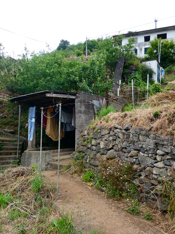 01.07.2018 Rundtour Levada dos Tornos - Levada da Serra do Faial zwischen Camacha und Choupana — Auf der Levada do Pico do Arvoredo Richtung Camacha — Foto 6