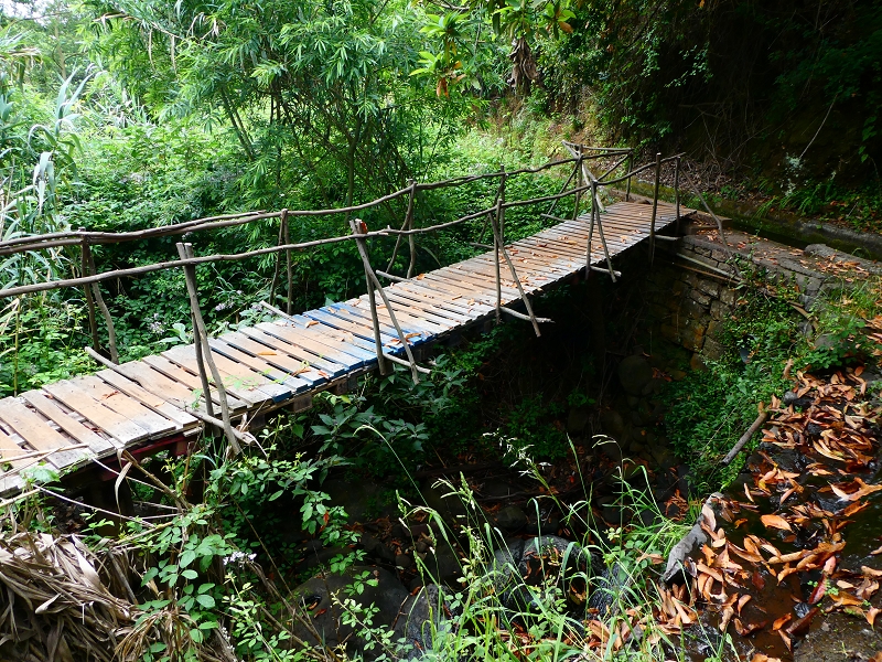 Levada dos Tornos sul — Troço 3 — foto 13
