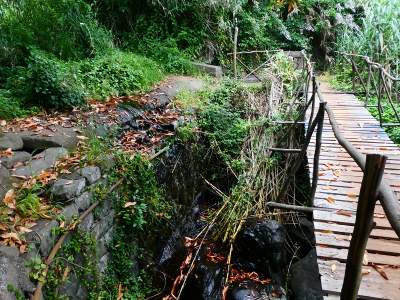 01.07.2018 Rundtour Levada dos Tornos - Levada da Serra do Faial zwischen Camacha und Choupana — Weiter zum Pinheirinho-Tunnel — Foto 14