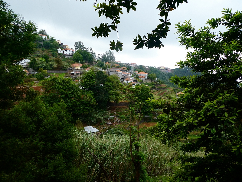 01.07.2018 Rundtour Levada dos Tornos - Levada da Serra do Faial zwischen Camacha und Choupana — Weiter zum Pinheirinho-Tunnel — Foto 16