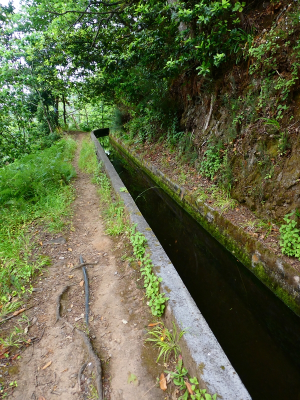 01.07.2018 Rundtour Levada dos Tornos - Levada da Serra do Faial zwischen Camacha und Choupana — Weiter zum Pinheirinho-Tunnel — Foto 17